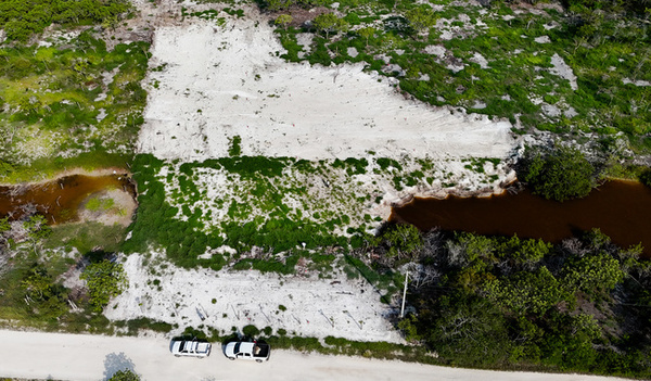 Profepa clausura predios en Celestún por daños a manglares