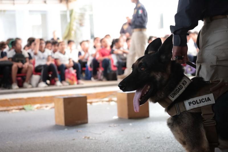 Yucatán envía a unidad K-9 a Texas para especialización en explosivos