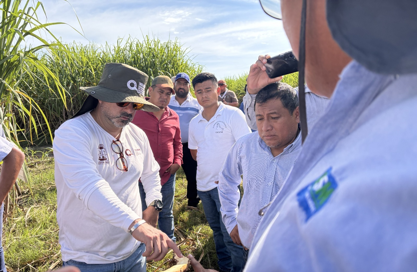 Acompañamiento científico fortalece al sector cañero en Quintana Roo: SEDARPE