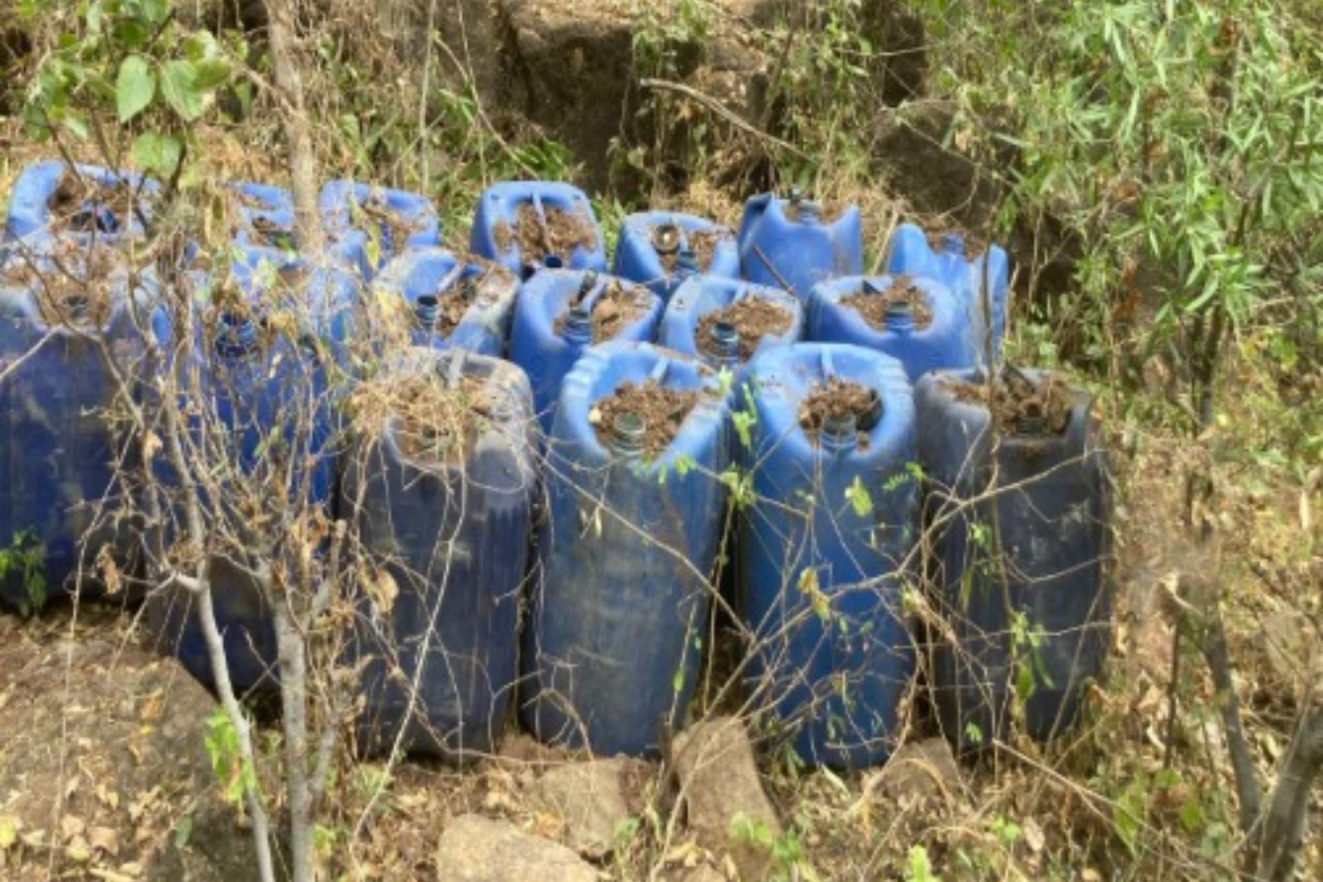 Inhabilitan 5 áreas de concentración en Sinaloa; afectación a delincuencia es de 113 mdp