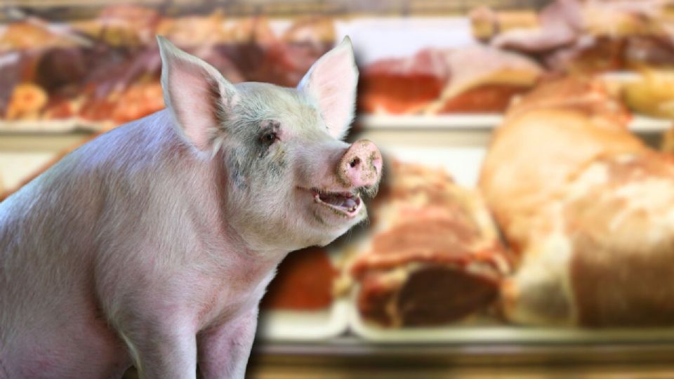 México reanudará cuando sea posible las importaciones de carne de cerdo de España