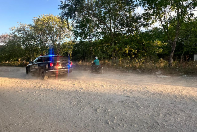 Hallan dos cuerpos en avanzado estado de descomposición en Playa del Carmen