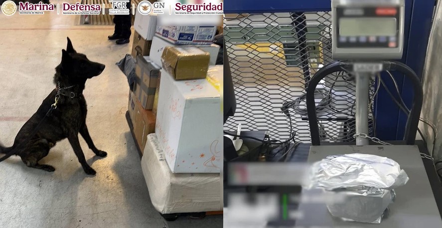 Aseguran en el AICM cargamento de fentanilo valuado en 20 millones de dólares