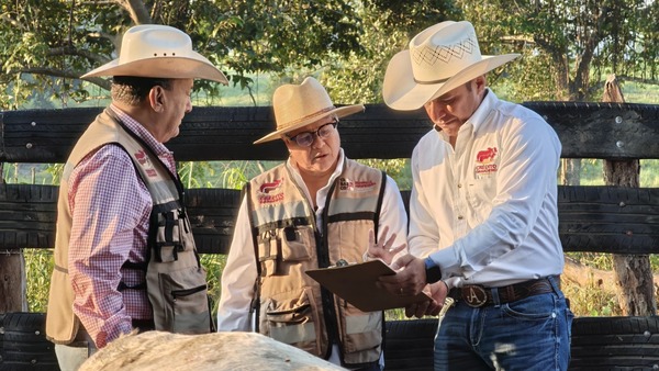 Inician en Macuspana diagnósticos de preñez del programa Crédito Ganadero a la Palabra