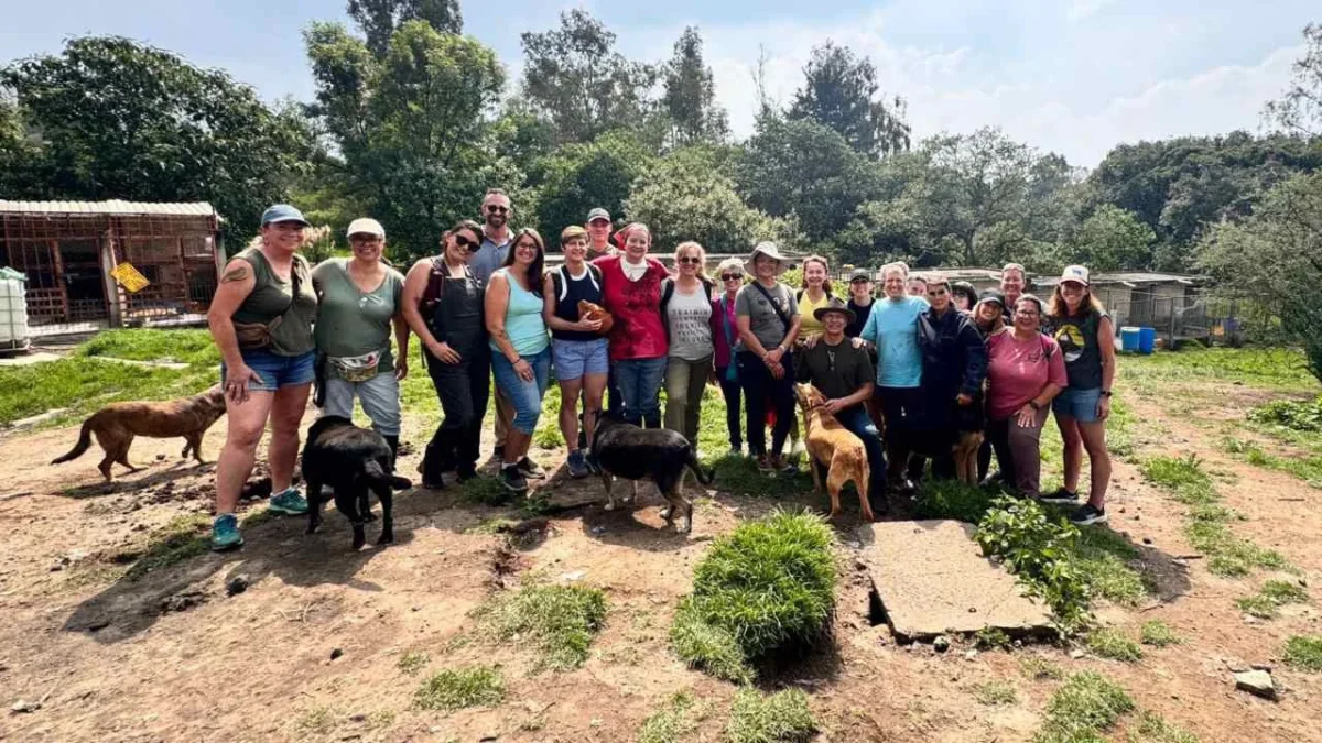 Refugio Franciscano exige la restitución de más de 800 animales