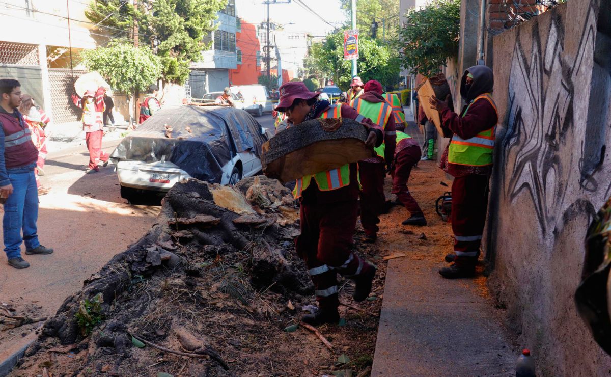 CDMX confirma un muerto, un incendio y fallas eléctricas por sismo magnitud 6.5