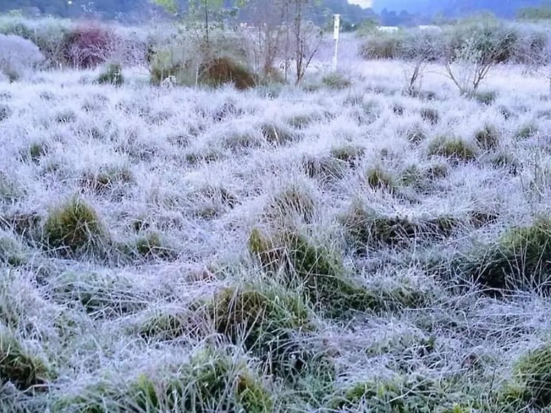 Helada en San Cristobal deja temperaturas de hasta -2°C