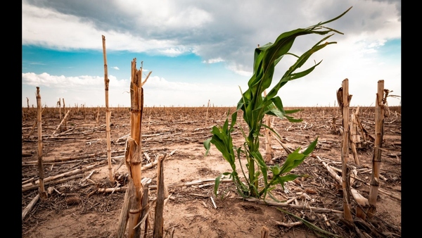Conagua descarta focos rojos por sequía en Yucatán