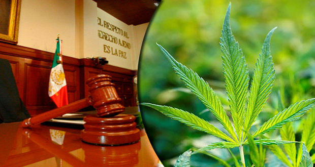 SCJN se queda a un voto de ‘flexibilizar’ el límite de posesión de mariguana