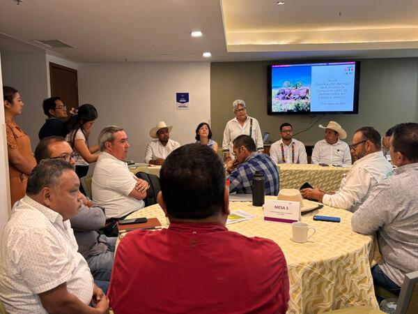 Tabasco apuesta por una ganadería libre de deforestación