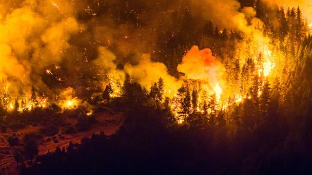 Los incendios forestales se expanden en Argentina y el Gobierno amplía la emergencia