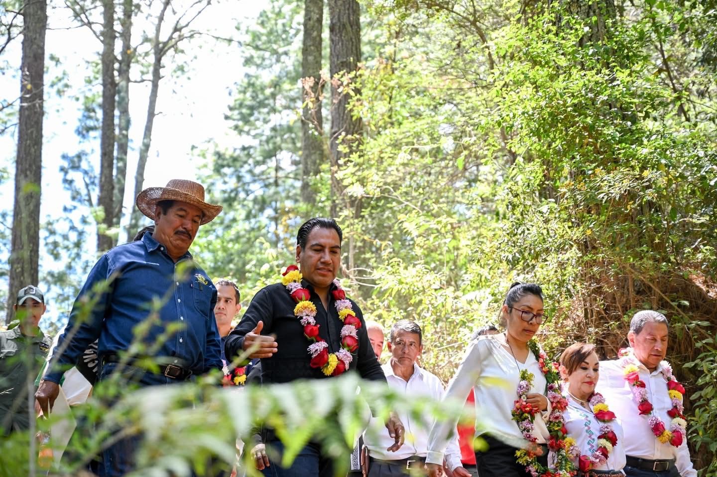 Declaran nueva Área Natural Protegida en Coapilla para resguardar al quetzal