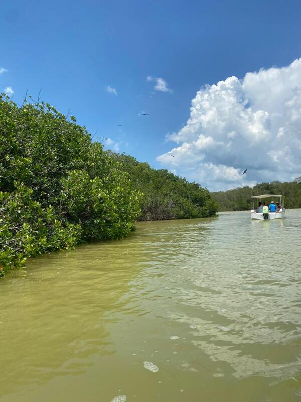 Listas agencias de viajes para prestar servicios en Semana Santa: AMAV