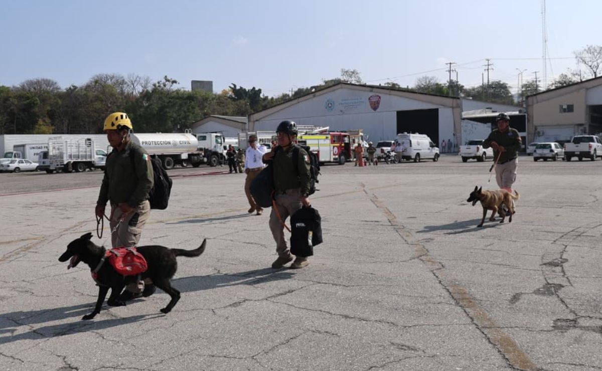 Refuerzan búsqueda de niña de 9 años en Chiapas con binomios caninos