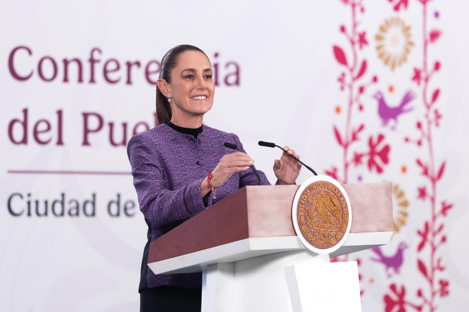 Sheinbaum presenta plan para fortalecer soberanía energética