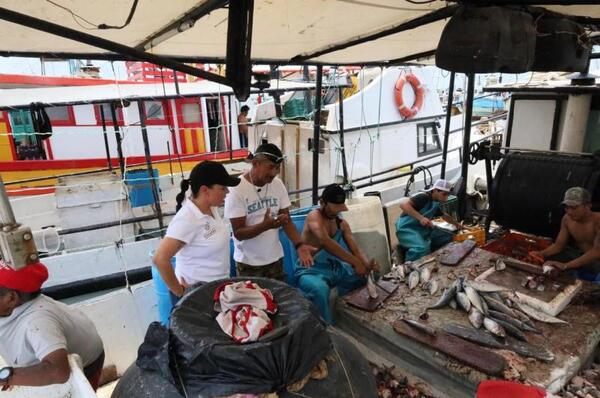 Comienza en Yucatán la temporada de captura de mero