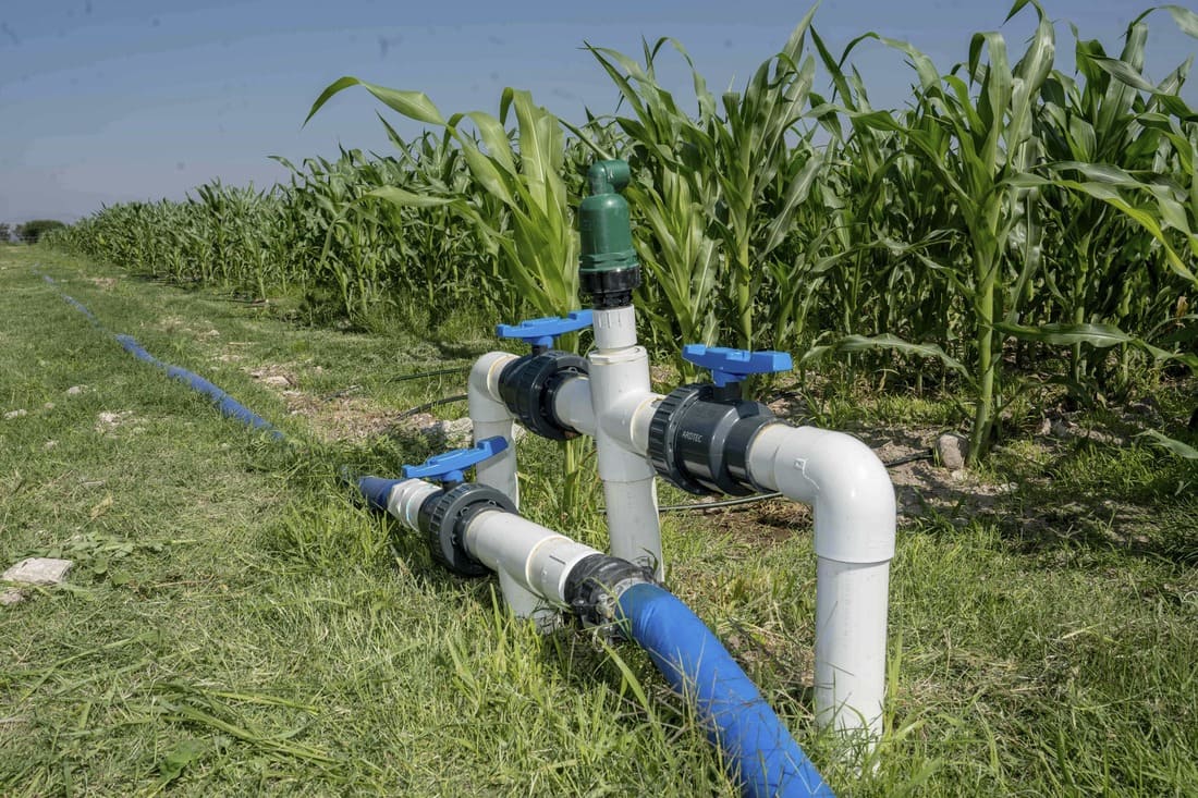 Amplía Gobierno de México al 29 de mayo el plazo para inscribirse al Programa Especial de Energía para el Campo (PEUA)