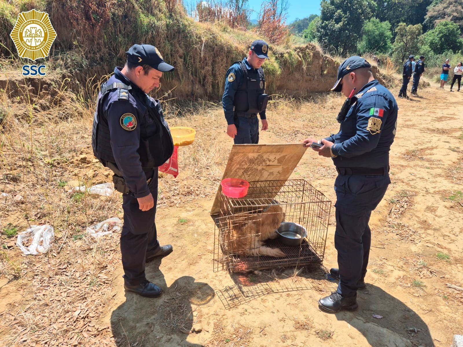 Rescatan a perro enjaulado en Tlalpan tras denuncia