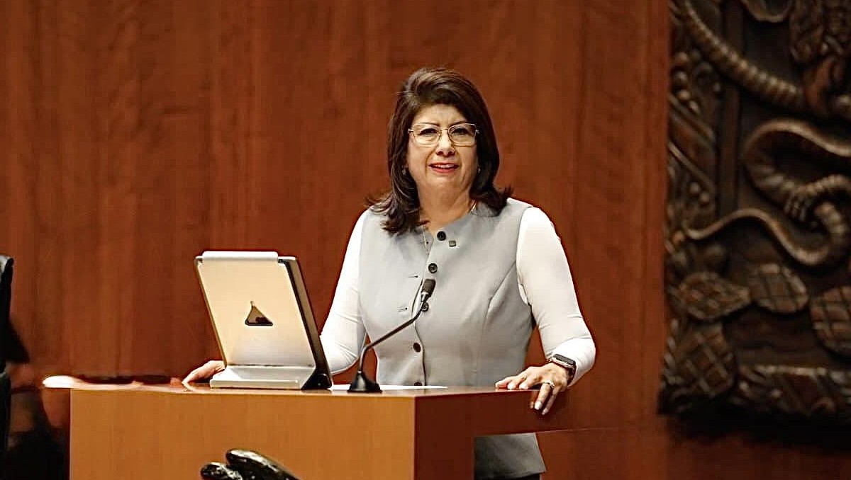 Senadora oficialista admite sacrificio de 10.000 perros callejeros en municipio mexicano