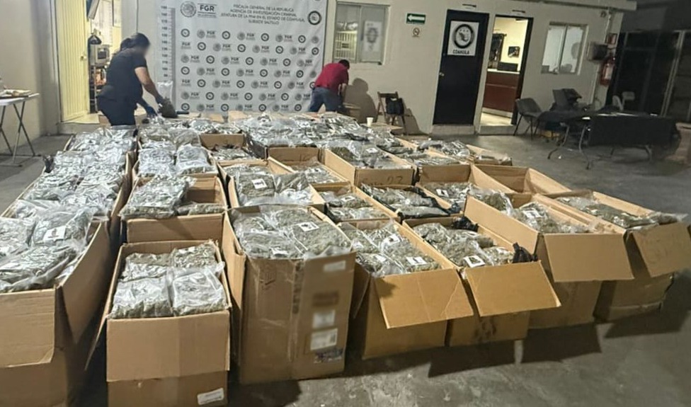Aseguran casi una tonelada de marihuana en Coahuila; hay un detenido