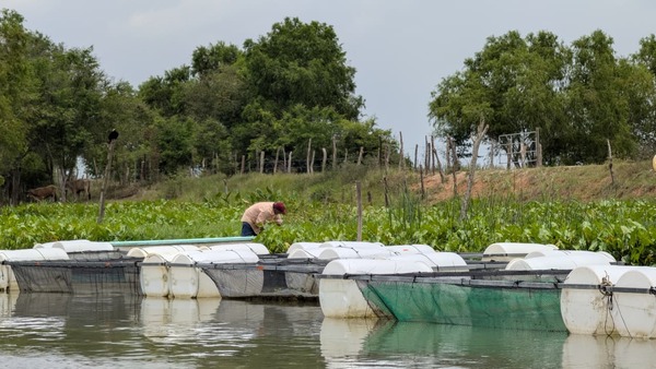 SEDAP fortalece acuicultura en Nacajuca con seguimiento al programa Pescando Vida