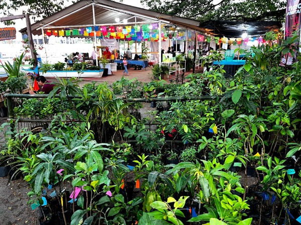 Feria Comalcalco 2026 impulsa consumo local y proyectos productivos
