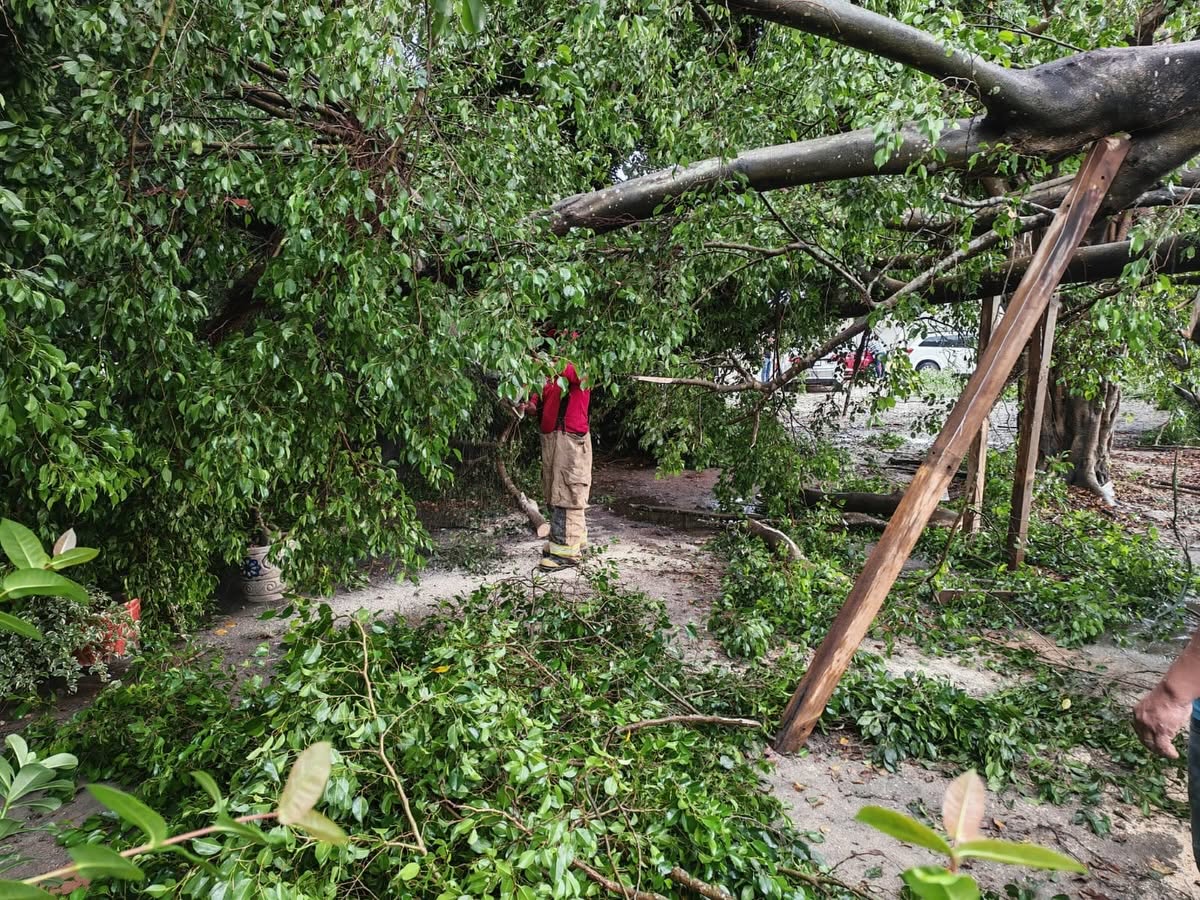 IPCET atiende afectaciones por lluvias y fuertes vientos en Tabasco