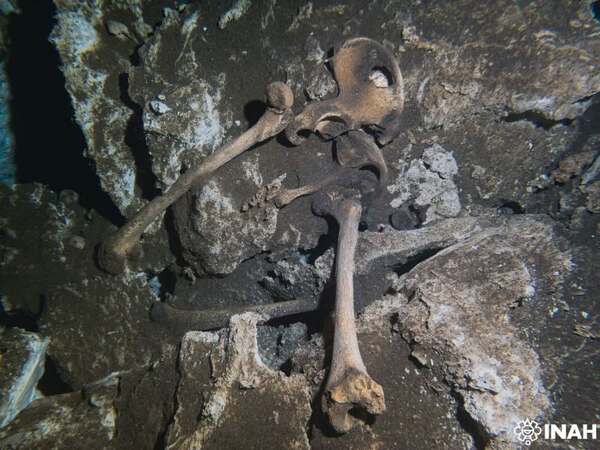 INAH investiga restos de una posible mujer maya hallados en el cenote Yaakun