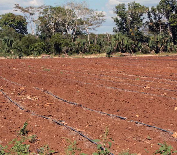 Sequía se extiende por la Península de Yucatán y alcanza 19 municipios