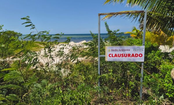 Profepa clausura obras por daño a duna en Yucatán
