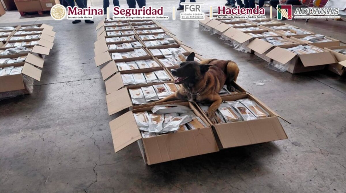 Detectan cocaína en cargamento de café en el AICM