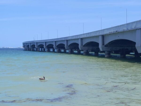 Marina y Pemex atienden derrame de hidrocarburo en Progreso