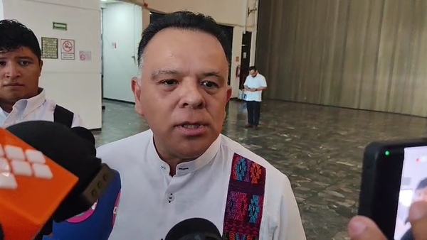 Medina Filigrana niega salida de Morena tras dejar Mesa Directiva