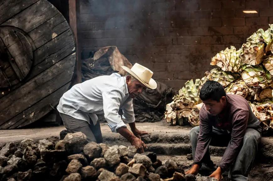 Mezcaleros desafían al IEPS: “No pagaremos lo mismo que los grandes consorcios”