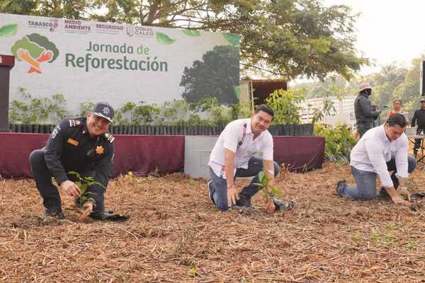 Comalcalco busca plantar más de 100 mil árboles