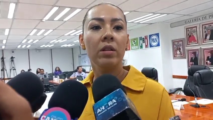 De no haber consensos, se designará un encargado de despacho en la secretaría Ejecutiva: Elizabeth Nava