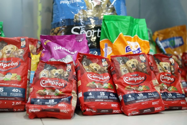 Invitan a donar alimento para perros y gatos en Tabasco