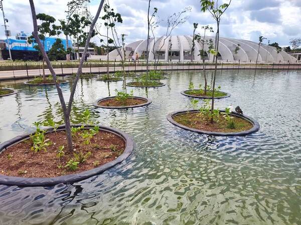 Detectan ameba comecerebros en seis lagos de Yucatán y los cierran
