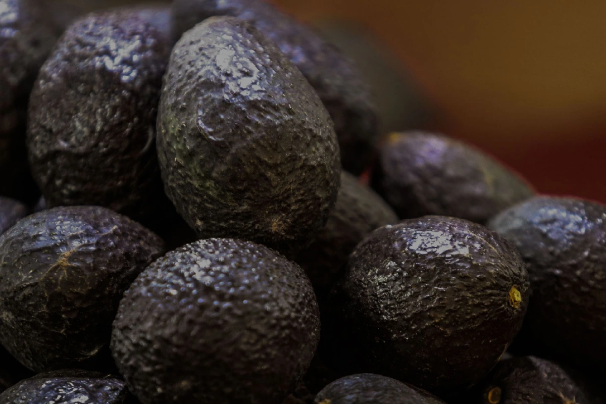 México acuerda medidas en seguridad y sanidad para fortalecer la industria del aguacate
