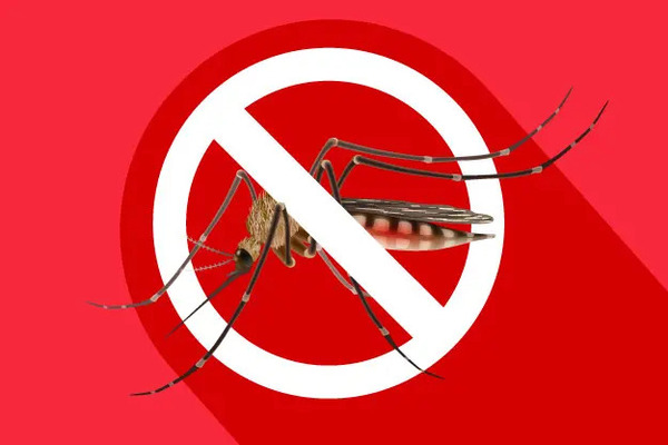 Tabasco refuerza combate al dengue en zonas fronterizas