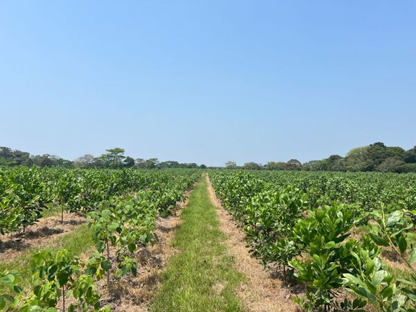 Tabasco prepara obras contra inundaciones